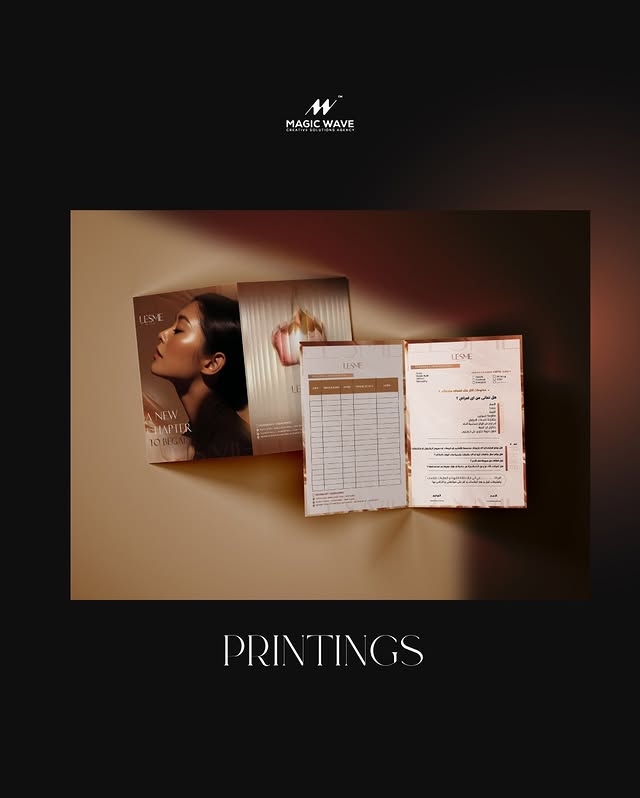 LESME printed brand collateral by MagicWave
